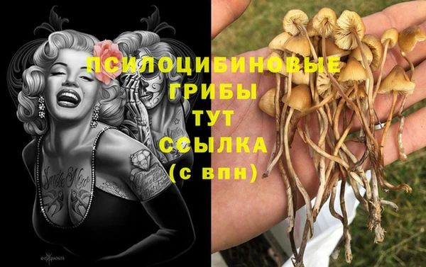 кокаин премиум Алексин