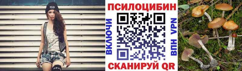 Псилоцибиновые грибы мицелий  дарк нет как зайти  Алатырь  где найти наркотики 