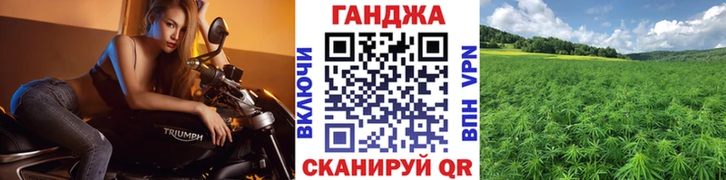 где купить наркотик  Алатырь  Каннабис сатива 